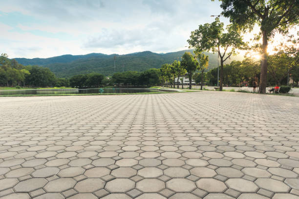 Best Brick Driveway Pavers  in Williston Park, NY